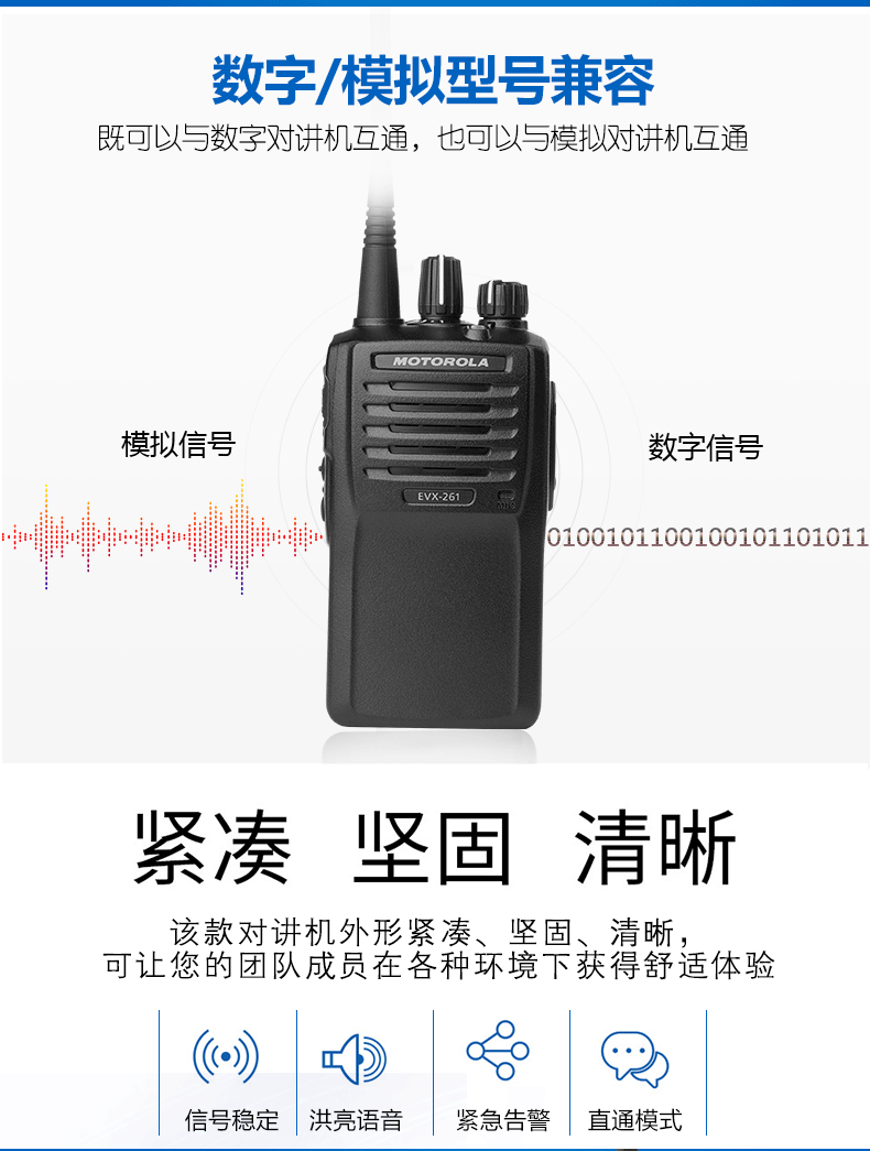 5.gif